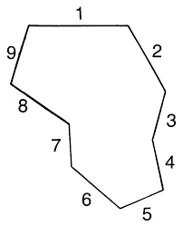 What is Nonagon? It&#8217;s Types, Properties and Solved Examples!