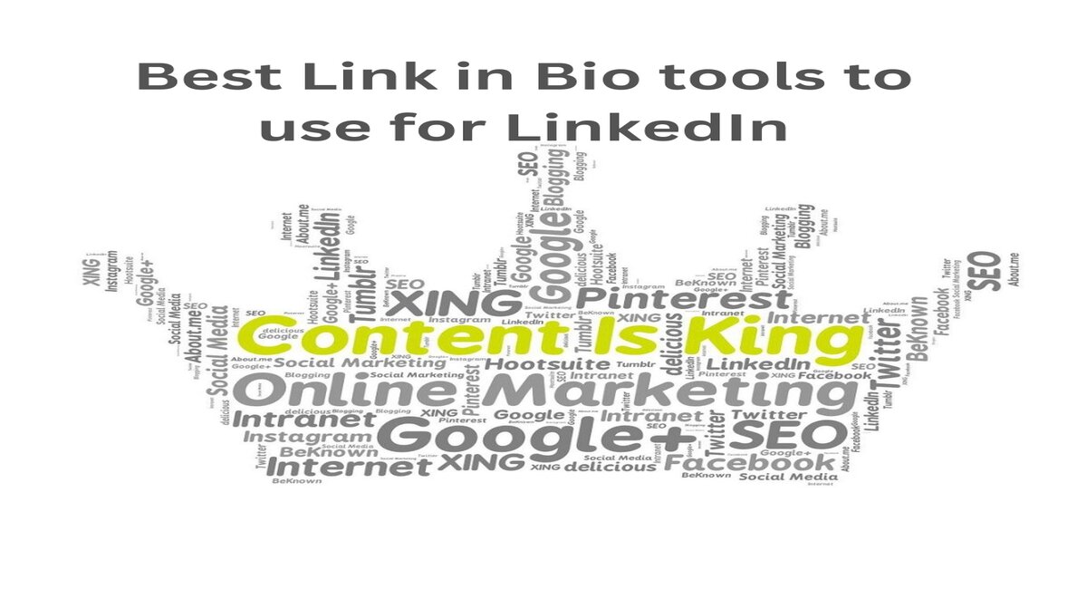 Link in Bio Meets LinkedIn: Everything to Know!